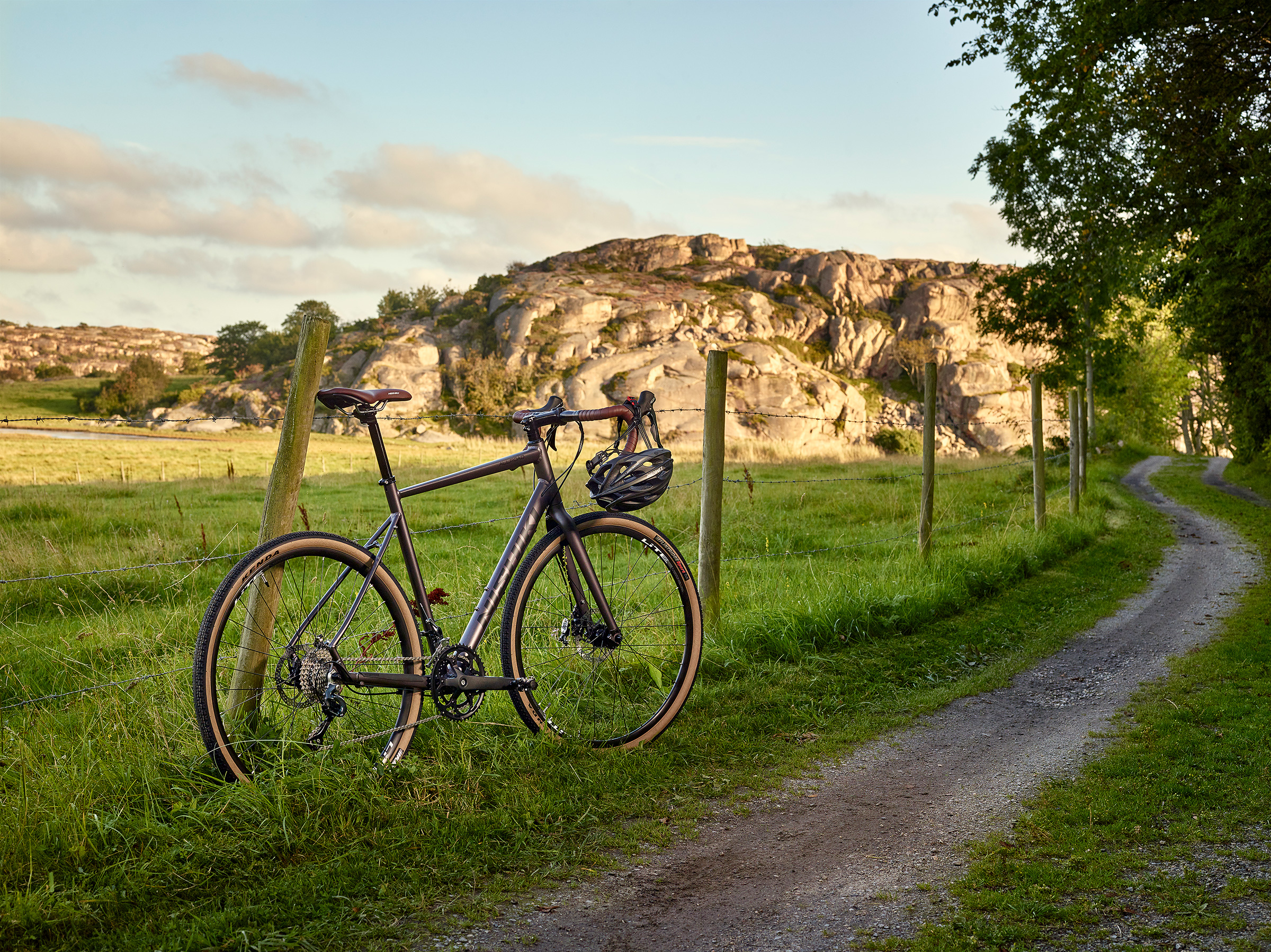 nishiki gravel bike